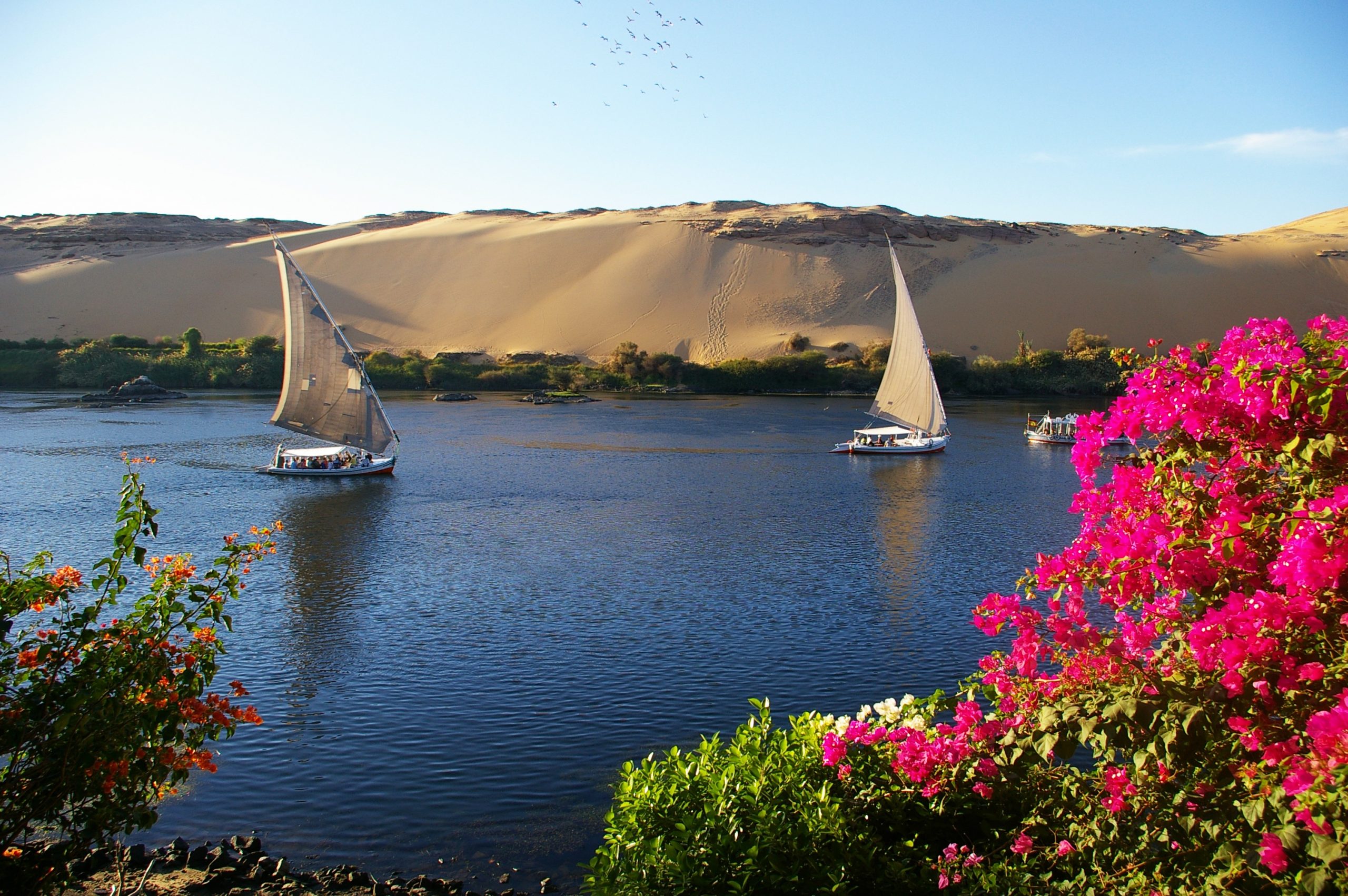 TOUR DU LỊCH AI CẬP 2025 TỪ HÀ NỘI -TP.HCM 12 NGÀY  CAIRO - BAHARIYA – ALEXANDRIA - ASWAN  - LUXOR – SUEZ - BIỂN ĐỎ 