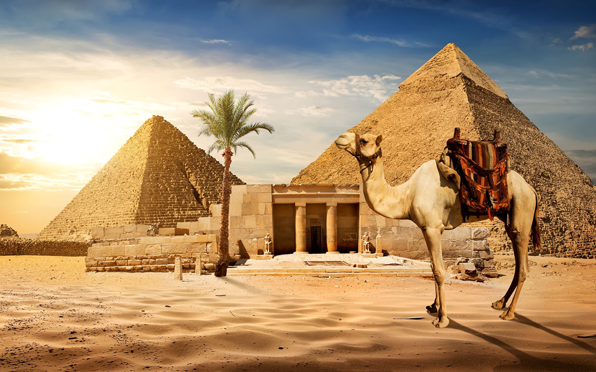 DU LỊCH AI CẬP CỔ ĐẠI - TOUR AI CẬP  CAIRO - BAHARIYA – ALEXANDRIA - ASWAN - LUXOR - BIỂN ĐỎ