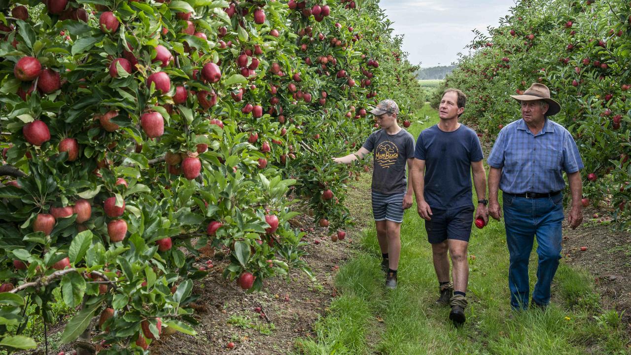 TOP 7 NƠI DỄ TÌM VIỆC LÀM FARM TẠI BANG QUEENSLAND ÚC