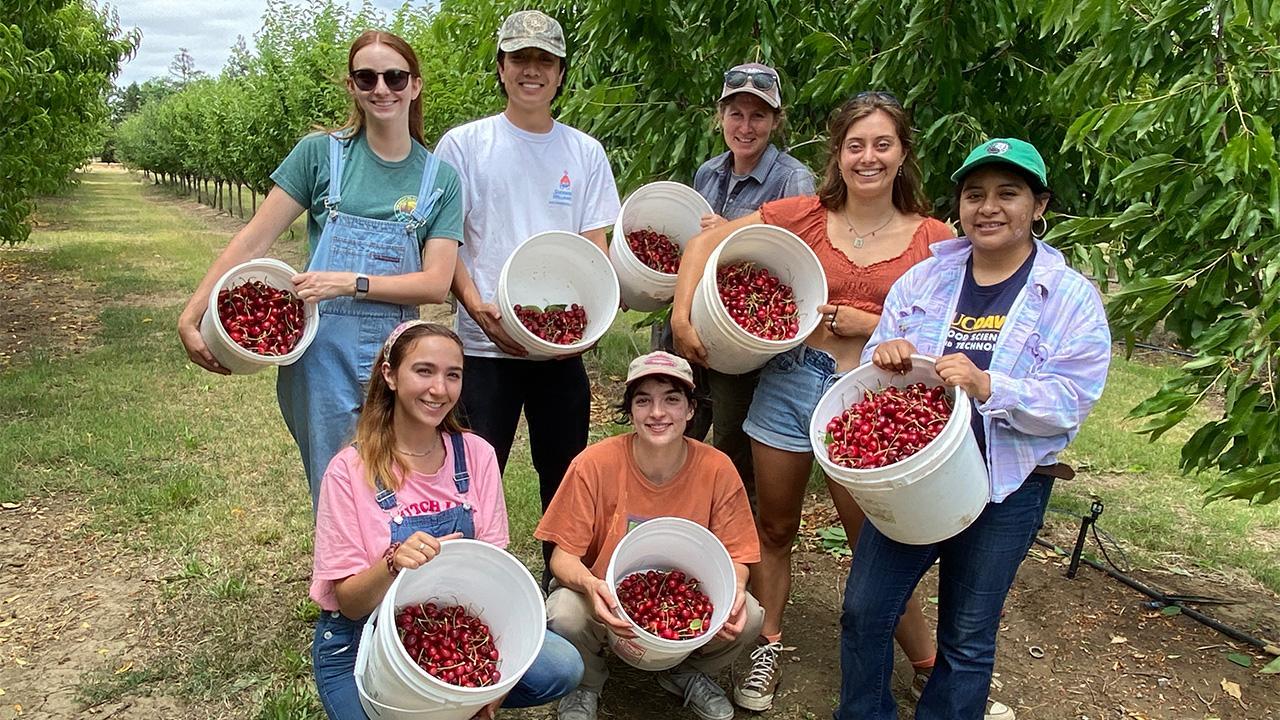 LÀM FARM ÚC DỄ HAY KHÓ VỚI NGƯỜI VIỆT - NHỮNG ĐIỀU CƠ BẢN NÊN BIẾT TRƯỚC KHI LỰA CHỌN CÔNG VIỆC NÀY 