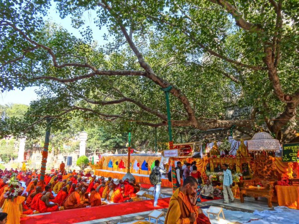 ĐẶT TOUR HÀNH HƯƠNG ĐẤT PHẬT ẤN ĐỘ NEPAL CHIÊM BÁI TỨ ĐỘNG TÂM 2027 NHẬN KHÁCH LẺ TỪ HÀ NỘI SÀI GÒN TOUR 8 NGÀY GIẢM GIÁ CHO TĂNG NI PHẬT TỬ 