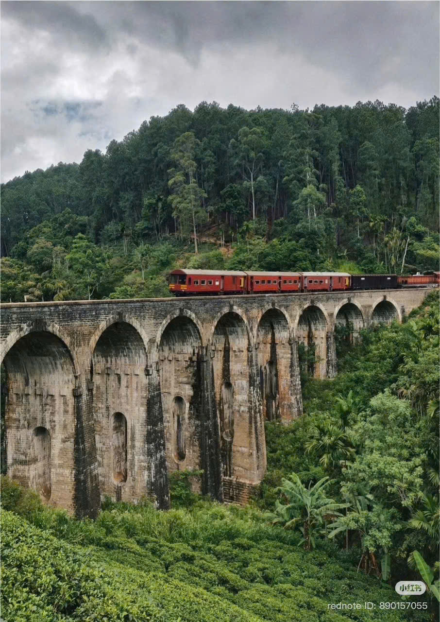 TOUR SRI LANKA MỚI NHẤT 2027 – KHÁM PHÁ XỨ TÍCH LAN 5 NGÀY 5 ĐÊM BAY THẲNG TỪ HÀ NỘI TP HCM ĐÀ NẴNG HẢI PHÒNG TOUR TIẾT KIỆM 