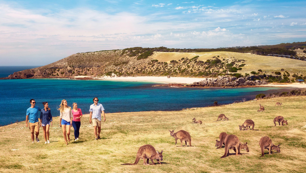 TOUR DU LỊCH ÚC GIÁ RẺ TỪ HÀ NỘI TP HCM MELBOURNE- BACCHUS MARSH BARLLARAT - SYDNEY- BLUE MOUTAIN 