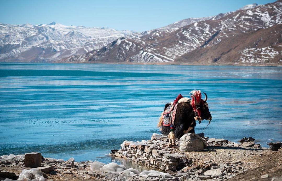 ĐI TÂY TẠNG BẰNG CÁCH NÀO DU LỊCH TÂY TẠNG CÓ KHÓ KHÔNG CÙNG SUMMIT TRAVEL KHÁM PHÁ NÓC NHÀ THẾ GIỚI TÂY AN TÂY TẠNG  9 NGÀY 8 ĐÊM BẰNG TÀU HỎA TRẢI NGHIỆM ĐƯỜNG TÀU THANH TẠNG  TỪ HÀ NỘI SÀI GÒN ĐÀ NẴNG 