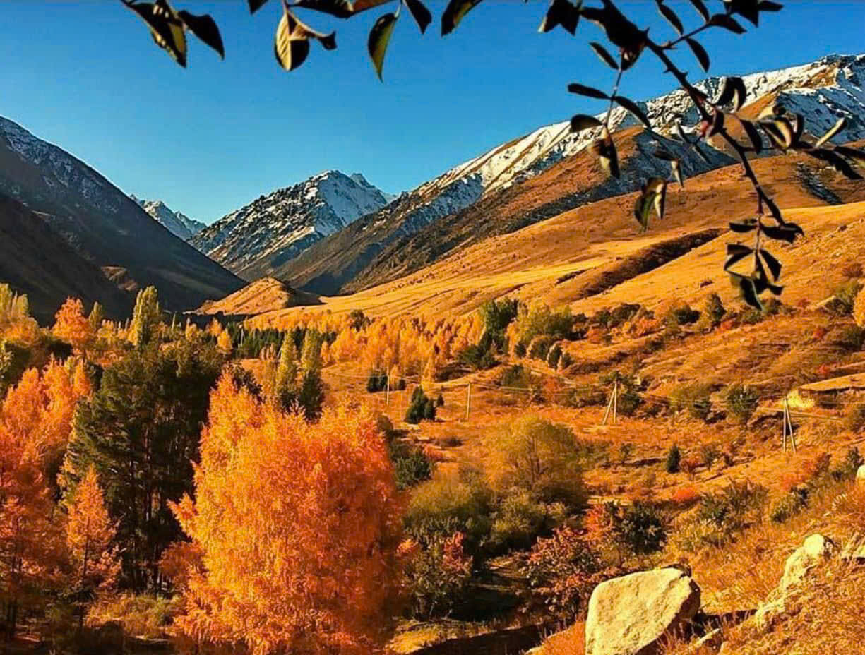 TOUR ĐỘC LẠ TRUNG Á TÂY Á 2026 ĐI TÌM CON ĐƯỜNG TƠ LỤA CỔ XƯA 22 NGÀY 21 ĐÊM QUA 5 NƯỚC UZBEKISTAN – TURKMENISTAN – TAJIKISTAN – KYRGYZSTAN – KAZAKHSTAN KHỞI HÀNH TỪ HÀ NỘI TP HỒ CHÍ MINH ĐÀ NẴNG 