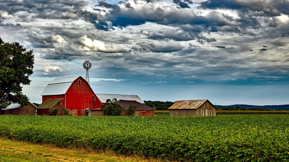 MỘT SỐ CÔNG VIỆC LÀM FARM TẠI ÚC VÀ CANADA ĐƯỢC NGƯỜI VIỆT TÌM KIẾM VÀ LỰA CHỌN NHIỀU NHẤT 