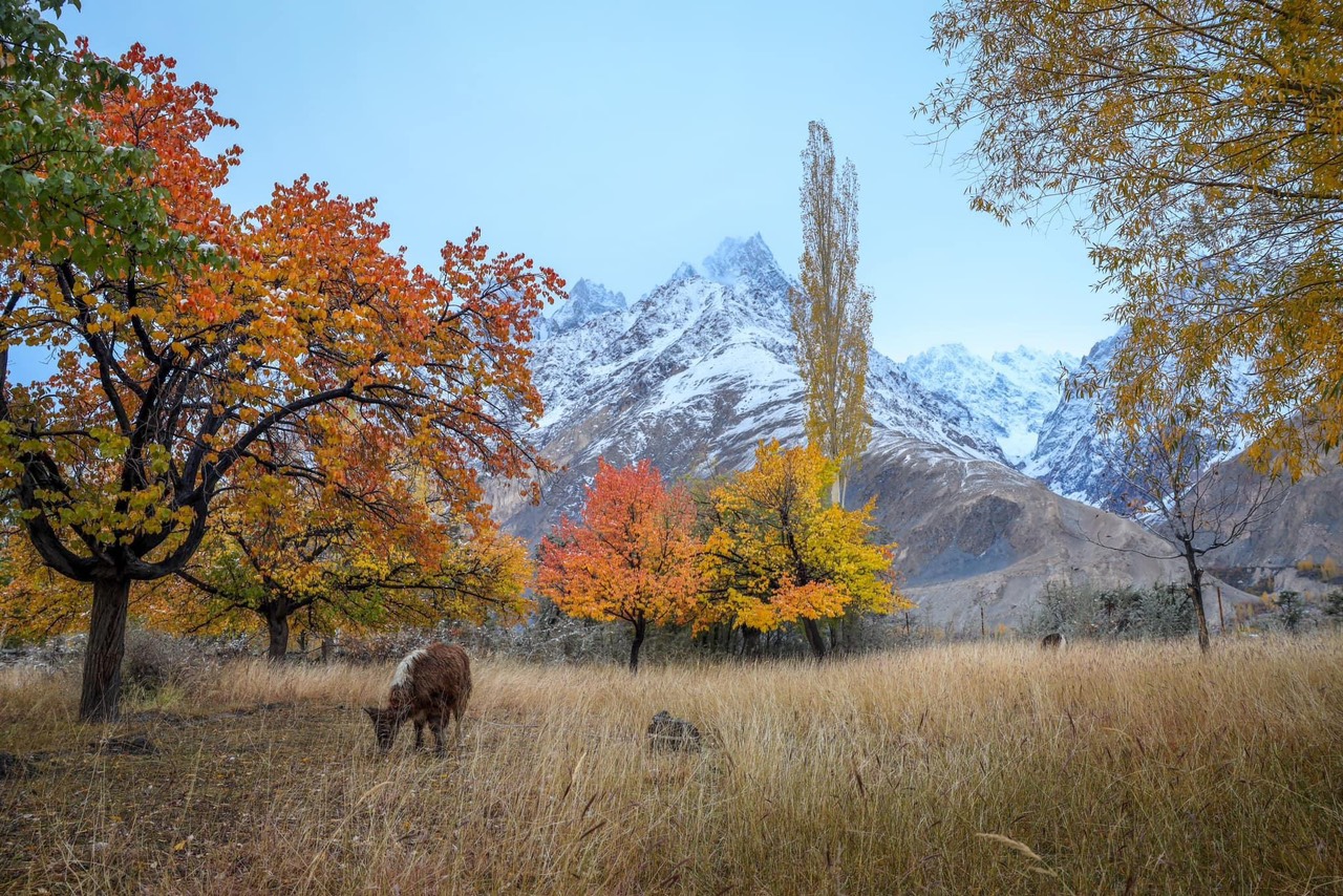 Chương trình chinh phục  MỘNG ĐÀO TIÊN MONO PAKISTAN  Thời gian: 9 ngày 08 đêm 