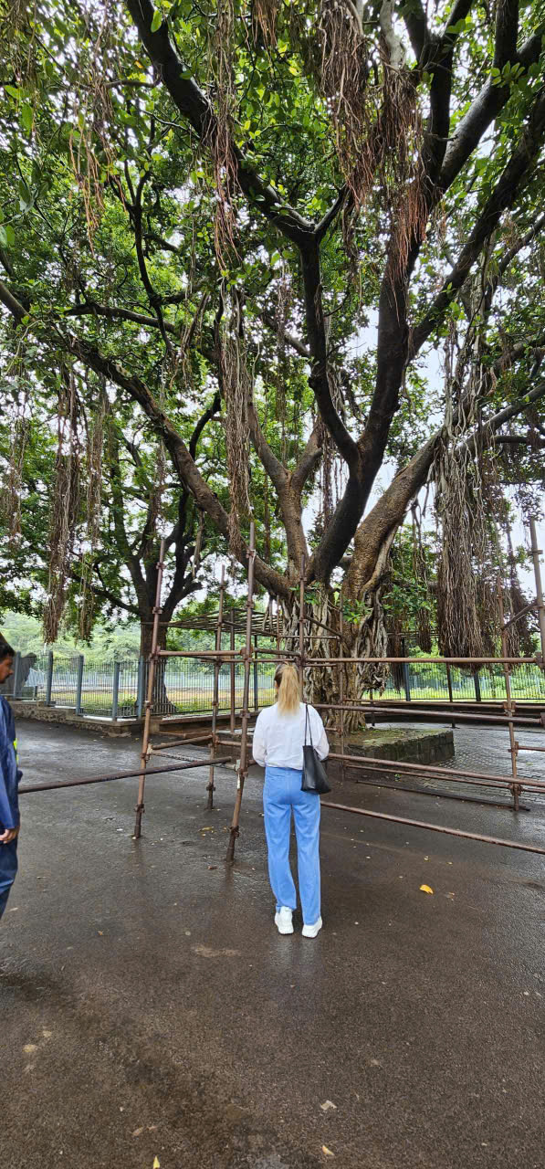 TOUR MUMBAI ẤN ĐỘ 2027 KỲ THÚ NAM ẤN – AURANGABAD  6 NGÀY 5 ĐÊM NHẬN KHÁCH LẺ TỪ HÀ NỘI TP HCM TOUR GIÁ TỐT