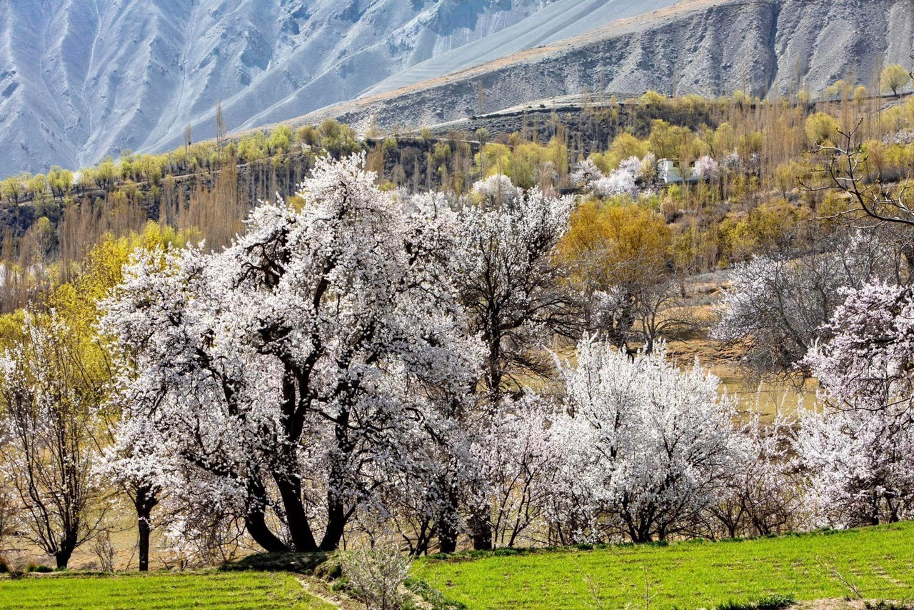 TOUR DU LỊCH PAKISTAN 2024 -2025 KHỞI HÀNH TỪ HÀ NỘI TP HỒ CHÍ MINH & ĐÀ NẴNG ĐI TÌM CUNG ĐƯỜNG CUỐI CÙNG 10 NGÀY 9 ĐÊM NƠI CẢNH SẮC HUNZA TỰA BỨC TRANH THỦY MẶC 