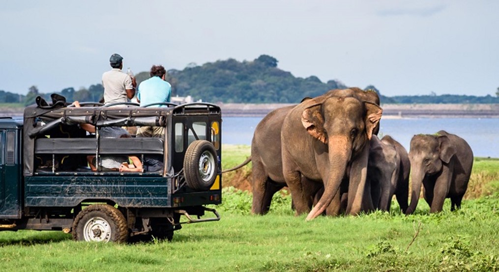 TOUR DU LỊCH ĐỘC LẠ 2025  KHÁM PHÁ QUỐC ĐẢO SRI LANKA 8 NGÀY 7 ĐÊM HÒN NGỌC ẤN ĐỘ DƯƠNG CHỐN THIÊN THAI BÌNH YÊN NHƯ CỔ TÍCH VỀ ĐẤT PHẬT TÍCH LAN KHỞI HÀNH TỪ HÀ NỘI TP HỒ CHÍ MINH ĐÀ NẴNG  