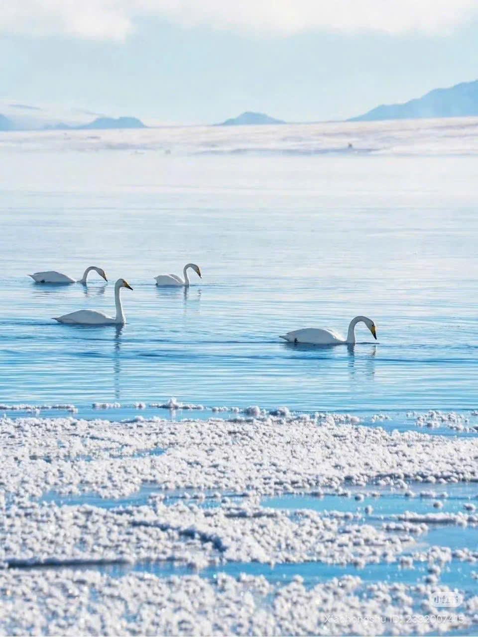 TÂN CƯƠNG MÙA ĐÔNG ĐẸP NHƯ MỘNG TĨNH NHƯ THƠ TỰA BỨC TRANH THIÊN SƠN TUYẾT TRẮNG KỲ ẢO TOUR 8 NGÀY 7 ĐÊM TỪ HÀ NỘI TP HỒ CHÍ MINH 