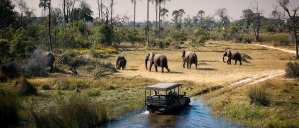 TOUR ĐỘC LẠ KHÁM PHÁ CHÂU PHI HOANG DÃ – MÙA THÚ DI CƯ 2026  (TÌM BIG FIVE) TOUR 5 NƯỚC 15 NGÀY 14 ĐÊM THÁC VICTORIA TANZANIA – KENYA – ZAMBIA – ZIMBABWE – BOTSWANA TỪ HÀ NỘI & TP HỒ CHÍ MINH 