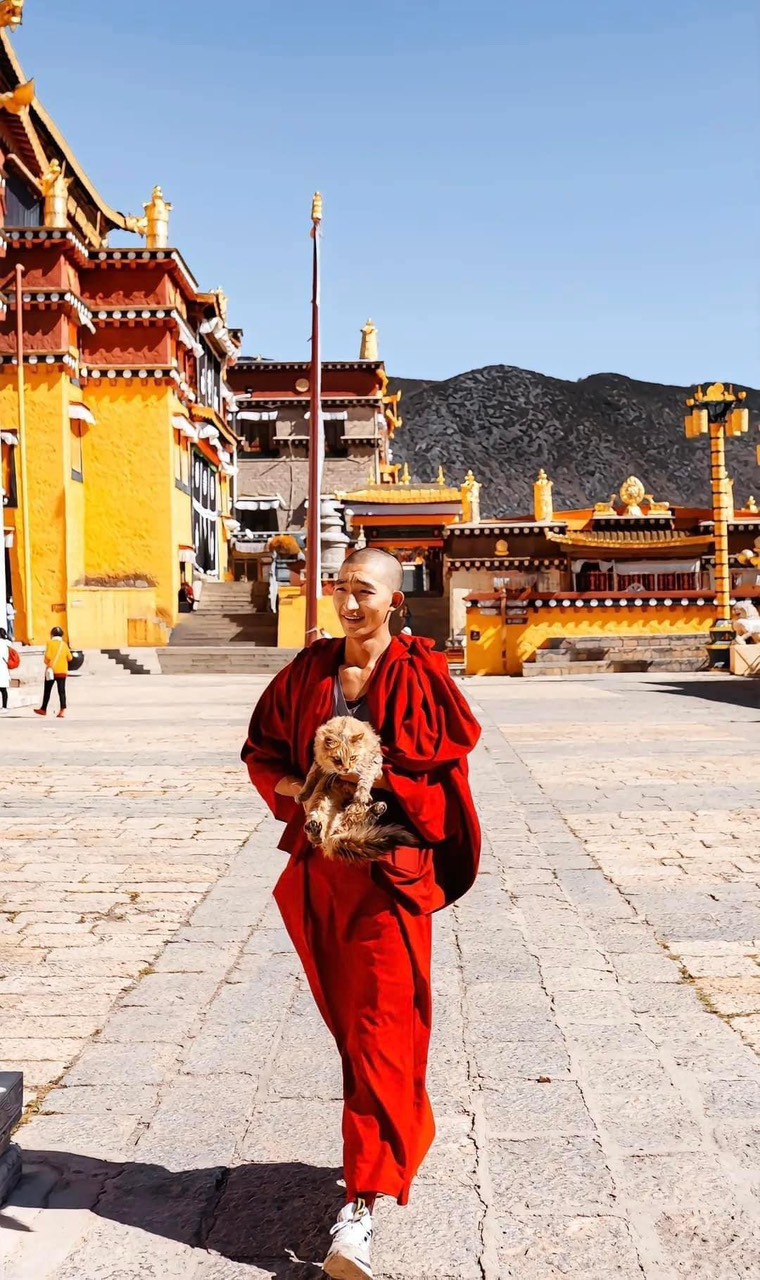 DU LỊCH TÂY TẠNG NÊN ĐI THỜI GIAN NÀO ĐI TÀU HỎA HAY ĐƯỜNG BAY CÙNG TRẢI NGHIỆM VÙNG ĐẤT THIÊNG TÂY TẠNG BAY TOÀN CHẶNG 9 NGÀY 8 ĐÊM TỪ HÀ NỘI TP HỒ CHÍ MINH ĐÀ NẴNG 