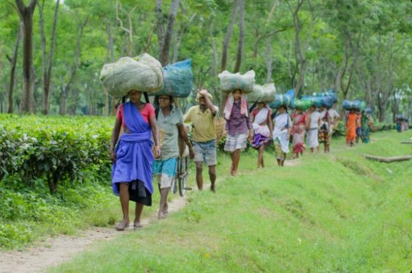 DU LỊCH BANGLADESH BẢN RÚT GỌN 8 NGÀY 7 ĐÊM KHÁM PHÁ ĐẤT NƯỚC CỦA NHỮNG DI SẢN GIAO THOA NHIỀU NỀN VĂN HÓA ĐỘC ĐÁO NHẬN GHÉP KHÁCH TỪ HÀ NỘI SÀI GÒN  