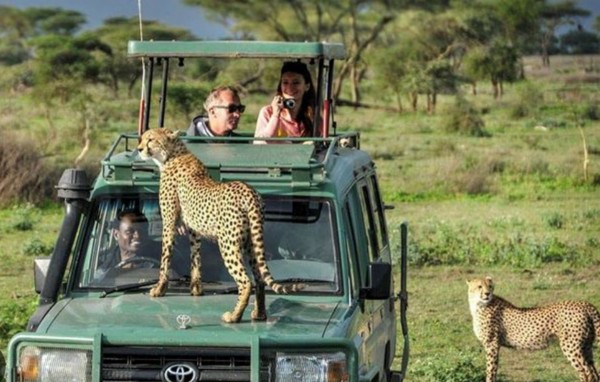 TOUR ĐỘC LẠ TRÁI TIM ĐẠI DI CƯ CHÂU PHI SĂN  BIG FIVE  8 NGÀY 7 ĐÊM KENYA - ETHIOPIA TRẢI NGHIỆM HOANG DÃ SAFARI MAASAI MARA VÀ CHẠM LUCY CỘI NGUỒN LOÀI NGƯỜI KHỞI HÀNH TỪ HÀ NỘI TP HỒ CHÍ MINH GIÁ SIÊU RẺ 