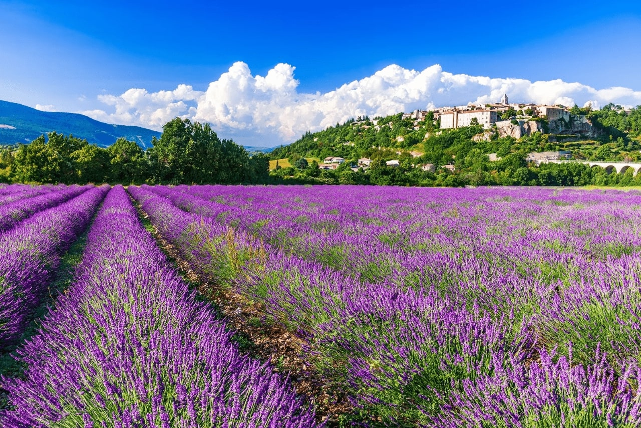 ĐỪNG BỎ LỠ TOUR ĐỘC ĐÁO NAM ÂU NHỮNG CÁNH ĐỒNG HOA OẢI HƯƠNG (LAVENDER) TÍM NGẮT BẤT TẬN CHUYẾN ĐI QUA 4 NƯỚC 12 NGÀY(THÁNG 6,7 HÀNG NĂM ) TỪ HÀ NỘI MIỀN NAM PHÁP - MONACO- TÂY BAN NHA - BỒ ĐÀO - SUMMIT TRAVEL