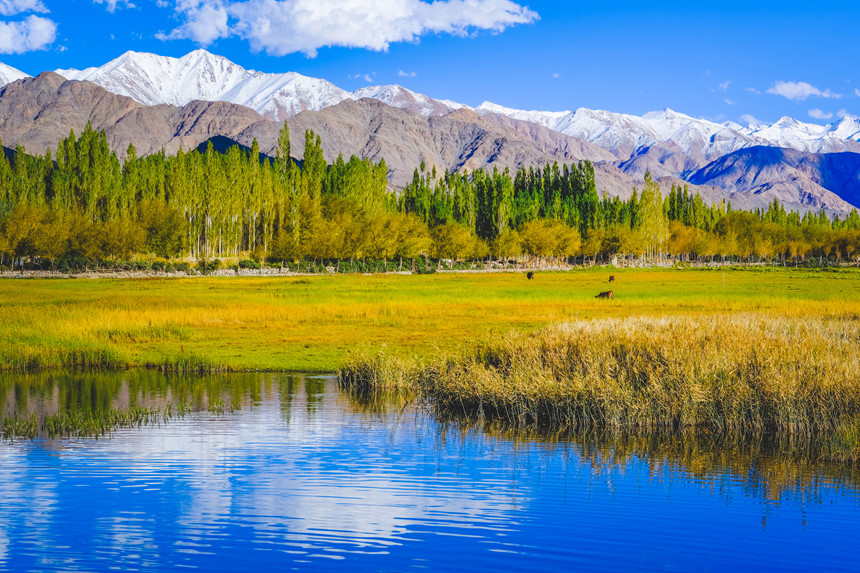TOUR KASHMIR VÙNG ĐẤT ĐỊA ĐÀNG ẤN ĐỘ  7 NGÀY 6 ĐÊM TỪ HÀ NỘI VÀ TP HỒ CHÍ MINH DELHI – SRINAGAR – VƯỜN SHALIMAR – ĐỒI SONAMARG – PAHALGAM – SÔNG BĂNG THAJIWAS 