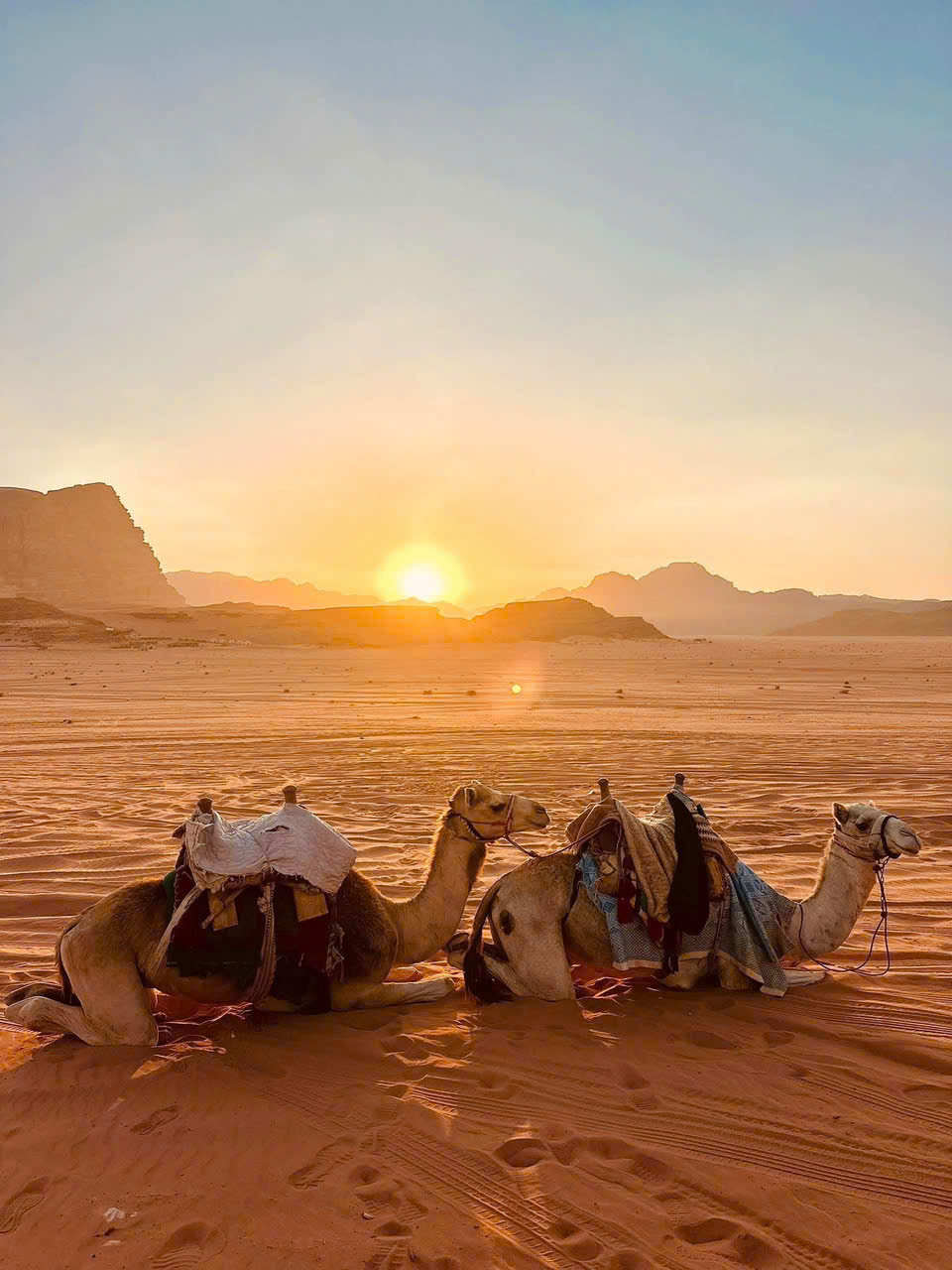 DU LỊCH AI CẬP KHÁM PHÁ VÙNG ĐẤT PHARAOH HUYỀN BÍ 7 NGÀY 6 ĐÊM TOUR TRỌN GÓI GIÁ RẺ NHẤT 2026 KHỞI HÀNH TỪ TP HỒ CHÍ MINH HOẶC HÀ NỘI 