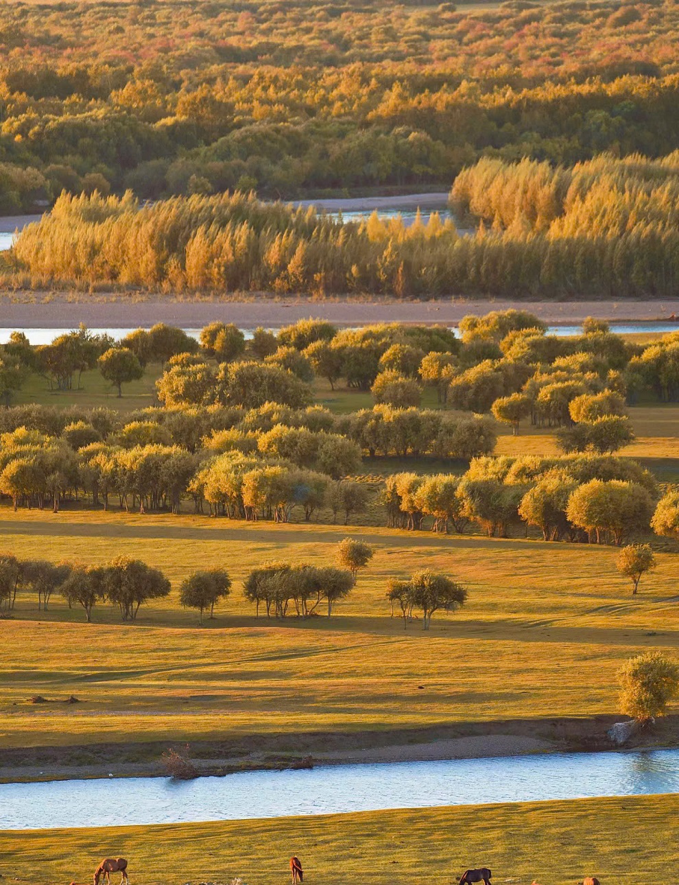 KHÁM PHÁ TÂN CƯƠNG TRUNG QUỐC TRÁI TIM CON ĐƯỜNG TƠ LỤA HUYỀN THOẠI MỘT HÀNH TRÌNH TOÀN CẢNH 2 MIỀN NAM BẮC 11 NGÀY 10 ĐÊM TOUR GIÁ RẺ TỪ HÀ NỘI SÀI GÒN 