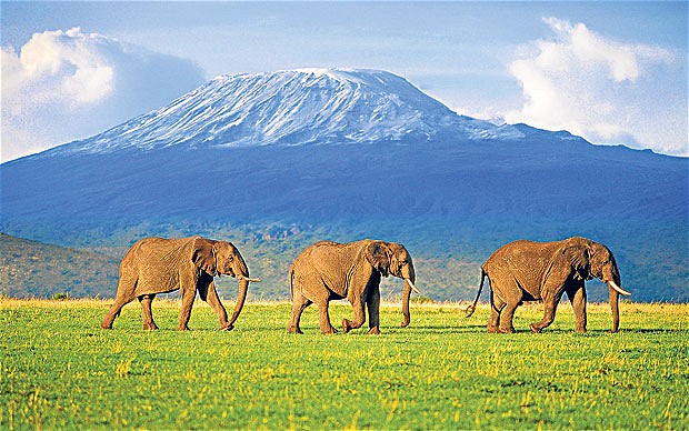 TOUR ĐỘC LẠ TRÁI TIM ĐẠI DI CƯ CHÂU PHI SĂN  BIG FIVE  8 NGÀY 7 ĐÊM KENYA - ETHIOPIA TRẢI NGHIỆM HOANG DÃ SAFARI MAASAI MARA VÀ CHẠM LUCY CỘI NGUỒN LOÀI NGƯỜI KHỞI HÀNH TỪ HÀ NỘI TP HỒ CHÍ MINH GIÁ SIÊU RẺ 