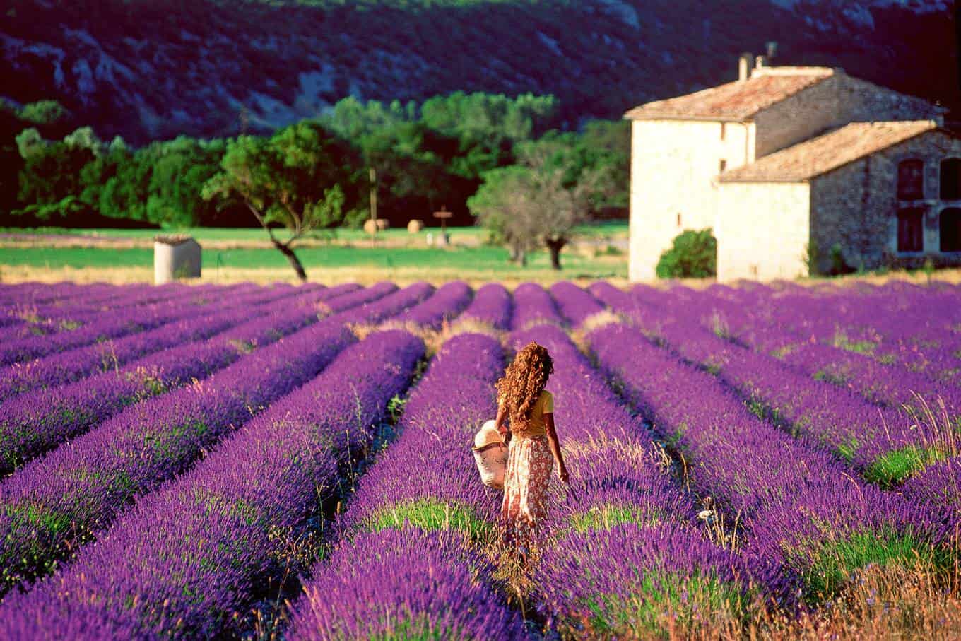 ĐỪNG BỎ LỠ TOUR ĐỘC ĐÁO NAM ÂU NHỮNG CÁNH ĐỒNG HOA OẢI HƯƠNG (LAVENDER) TÍM NGẮT BẤT TẬN CHUYẾN ĐI QUA 4 NƯỚC 12 NGÀY(THÁNG 6,7 HÀNG NĂM ) TỪ HÀ NỘI MIỀN NAM PHÁP - MONACO- TÂY BAN NHA - BỒ ĐÀO - SUMMIT TRAVEL