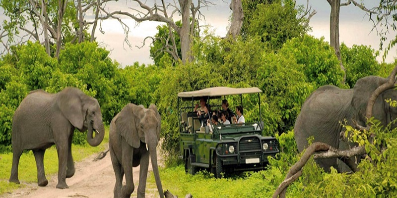 MỘT HÀNH TRÌNH 2 QUỐC GIA CHÂU LỤC ĐÔNG PHI KENYA - ETHIOPIA LỊCH TRÌNH NGẮN NHẤT 8 NGÀY 7 ĐÊM TOUR TRẢI NGHIỆM ĐỘC BẢN CHỨNG KIẾN ĐẠI DI CƯ SAFARI VÀ VĂN HÓA NHÂN LOẠI LUCY ETHIOPIA TOUR KHỞI HÀNH TỪ HÀ NỘI VÀ SÀI GÒN 