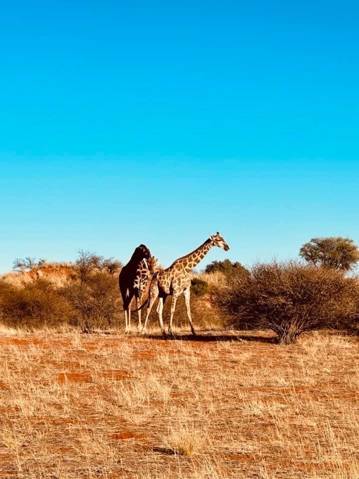 TOUR ĐÔNG PHI ĐỘC LẠ HÀNH TRÌNH KHÁM PHÁ THIÊN ĐƯỜNG BIỂN ĐẢO TANZANIA 2027 8 NGÀY 7 ĐÊM KHỞI HÀNH TỪ HÀ NỘI SÀI GÒN 