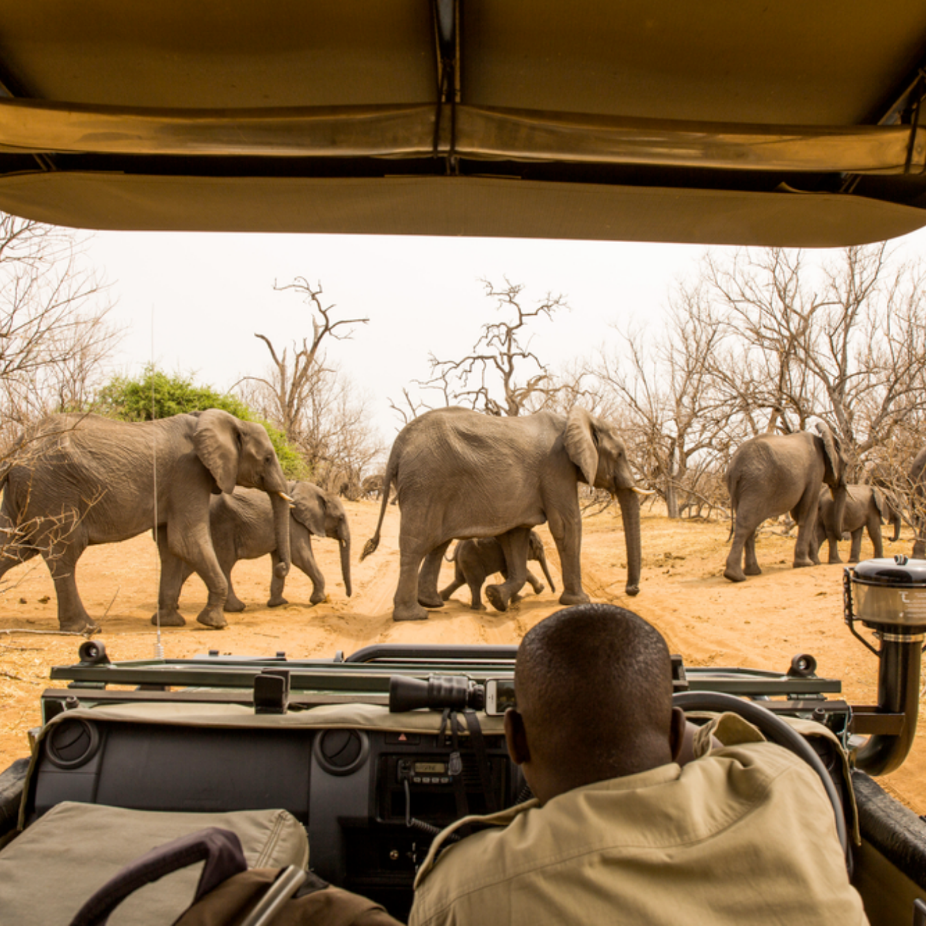 TRẢI NGHIỆM ĐỘC LẠ KHÁM PHÁ TRÁI TIM CỦA CHÂU PHI HOANG DÃ – MÙA THÚ DI CƯ – THÁC VICTORIA 2 NƯỚC TANZANIA – KENYA  TOUR LUXURY 10 NGÀY 9 ĐÊM TỪ HÀ NỘI & TP HỒ CHÍ MINH 