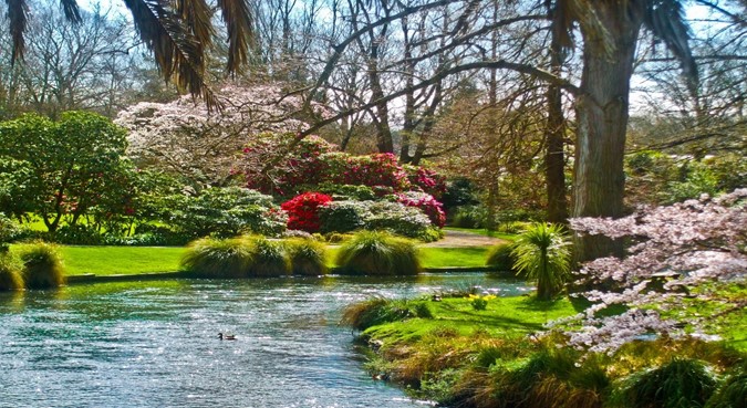 TOUR NEWZEALAND ĐẢO BẮC ĐẢO NAM MÙA XUÂN 2026 THIÊN ĐƯỜNG XINH ĐẸP CHRISTCHURCH – WANAKA – QUEENSTOWN – MILFORD SOUND – SÔNG BĂNG FRANZ JOSEF – AUCKLAND – ROTORUA TOUR 11 NGÀY 10 ĐÊM TỪ HÀ NỘI & TP HỒ CHÍ MINH 