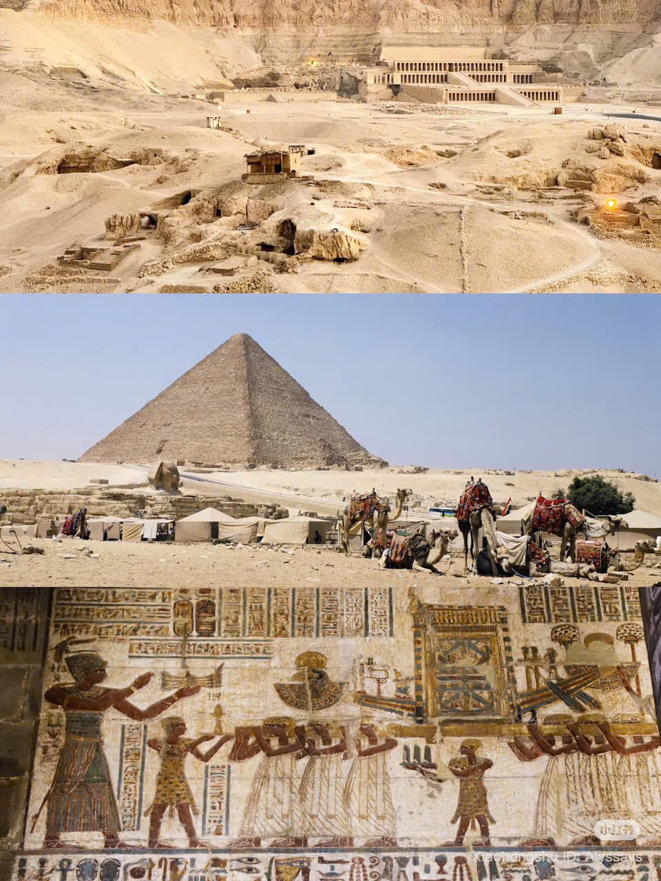 TOUR AI CẬP GIÁ RẺ TỪ 52,9 TRIỆU VÙNG ĐẤT CỦA NHỮNG ĐIỀU HUYỀN BÍ 10 NGÀY 9 ĐÊM CAIRO - LUXOR - HURGHADA - ALEXANDRIA  NHẬN KHÁCH LẺ TỪ TP HỒ CHÍ MINH HÀ NỘI 