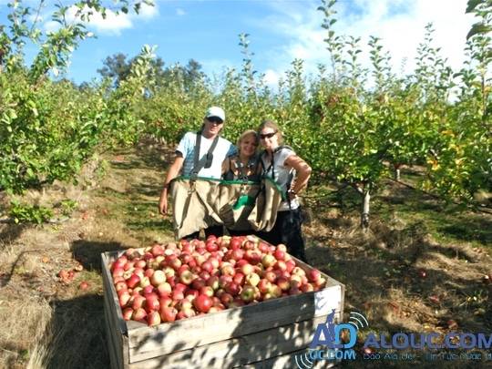 DU LỊCH ÚC (AUSTRALIA) MÙA NÀO ĐẸP GIÁ RẺ TOUR SYDNEY - MELBOUNRE 7N6Đ PHÙ HỢP SINH VIÊN NGƯỜI TÌM VIỆC TẠI ÚC KHỞI HÀNH TỪ TP HỒ CHÍ MINH HOẶC HÀ NỘI 