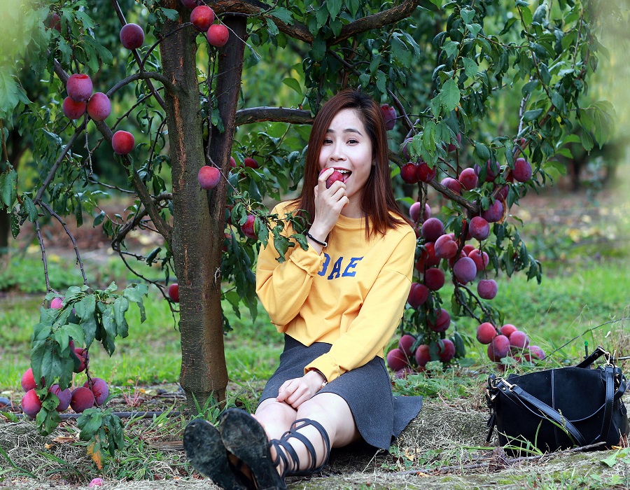 CHƯƠNG TRÌNH DU HỌC CẤP 3 (PTTH) TẠI ÚC CÓ KHÓ KHÔNG ĐIỀU KIỆN HỒ SƠ CHI PHÍ (NGƯỜI GIÁM HỘ VÀ HỌC SINH) NHƯ THẾ NÀO ? TRƯỜNG CẤP 3 NÀO TỐT 