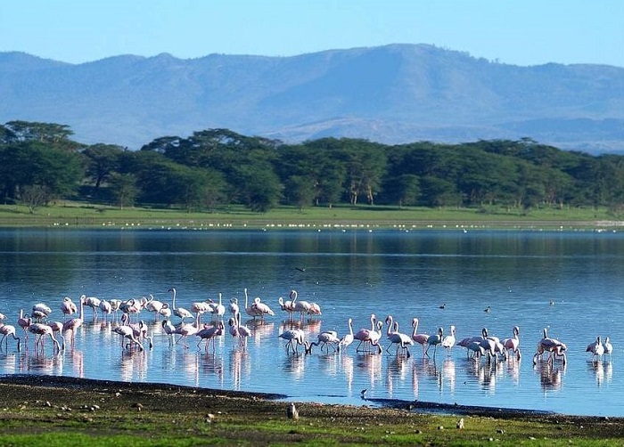 MỘT HÀNH TRÌNH 2 QUỐC GIA CHÂU LỤC ĐÔNG PHI KENYA - ETHIOPIA LỊCH TRÌNH NGẮN NHẤT 8 NGÀY 7 ĐÊM TOUR TRẢI NGHIỆM ĐỘC BẢN CHỨNG KIẾN ĐẠI DI CƯ SAFARI VÀ VĂN HÓA NHÂN LOẠI LUCY ETHIOPIA TOUR KHỞI HÀNH TỪ HÀ NỘI VÀ SÀI GÒN 