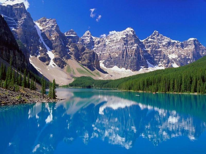 BẮC TÂN CƯƠNG MÙA XUÂN 2026  KHI HOA ANH ĐÀO KHOE SẮC NGẮM TRỌN VẺ ĐẸP THẦN TIÊN KHÁC LẠ TOUR 8 NGÀY 7 ĐÊM GIÁ RẺ NHẬN GHÉP KHÁCH TỪ HÀ NỘI TP HỒ CHÍ MINH  