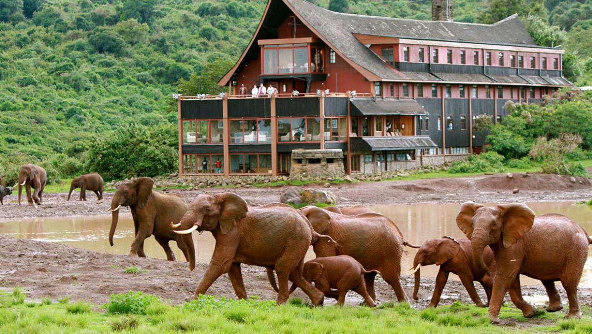 KHÁM PHÁ  KENYA-THIÊN ĐƯỜNG HOANG DÃ CHÂU PHI