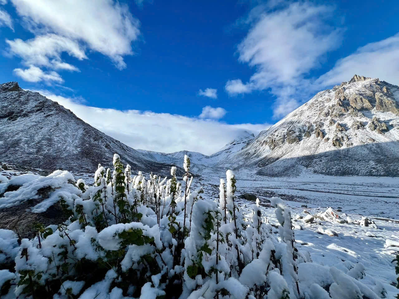 TOUR KORA KAILASH CHẠM VÀO MIỀN TÂM LINH NÚI THIÊNG TUDI(SUMERU)HUYỀN THOẠI 10N9Đ,14N13Đ CHÙM TOUR HÀNH HƯƠNG ĐỘC LẠ SUMMIT TRAVEL 2026 TÂY TẠNG TÀU THANH TẠNG 6N5Đ,9N8Đ Á ĐINH ĐẠO THÀNH 7N6Đ KH TỪ HÀ NỘI TP HCM