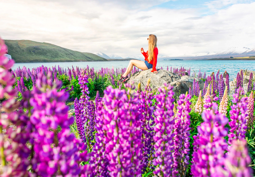 TOUR NEW ZEALAND 2026 TOÀN CẢNH THIÊN ĐƯỜNG BẮC ĐẢO NAM ĐẢO AUCKLAND – MATAMATA – ROTORUA – QUEENSTOWN – MILFORD SOUND  9 NGÀY 8 ĐÊM TỪ HÀ NỘI VÀ TP HỒ CHÍ MINH 