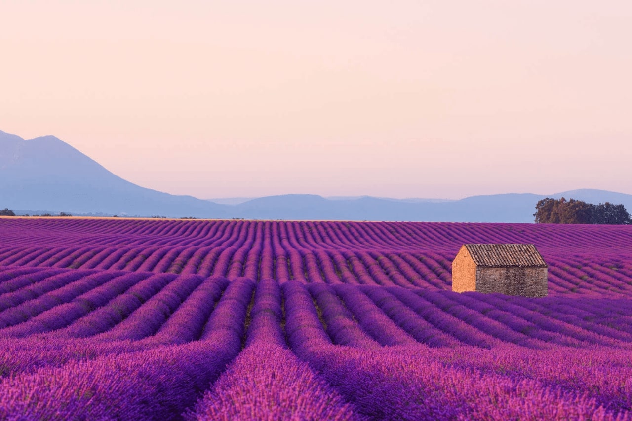 ĐỪNG BỎ LỠ TOUR ĐỘC ĐÁO NAM ÂU NHỮNG CÁNH ĐỒNG HOA OẢI HƯƠNG (LAVENDER) TÍM NGẮT BẤT TẬN CHUYẾN ĐI QUA 4 NƯỚC 12 NGÀY(THÁNG 6,7 HÀNG NĂM ) TỪ HÀ NỘI MIỀN NAM PHÁP - MONACO- TÂY BAN NHA - BỒ ĐÀO - SUMMIT TRAVEL