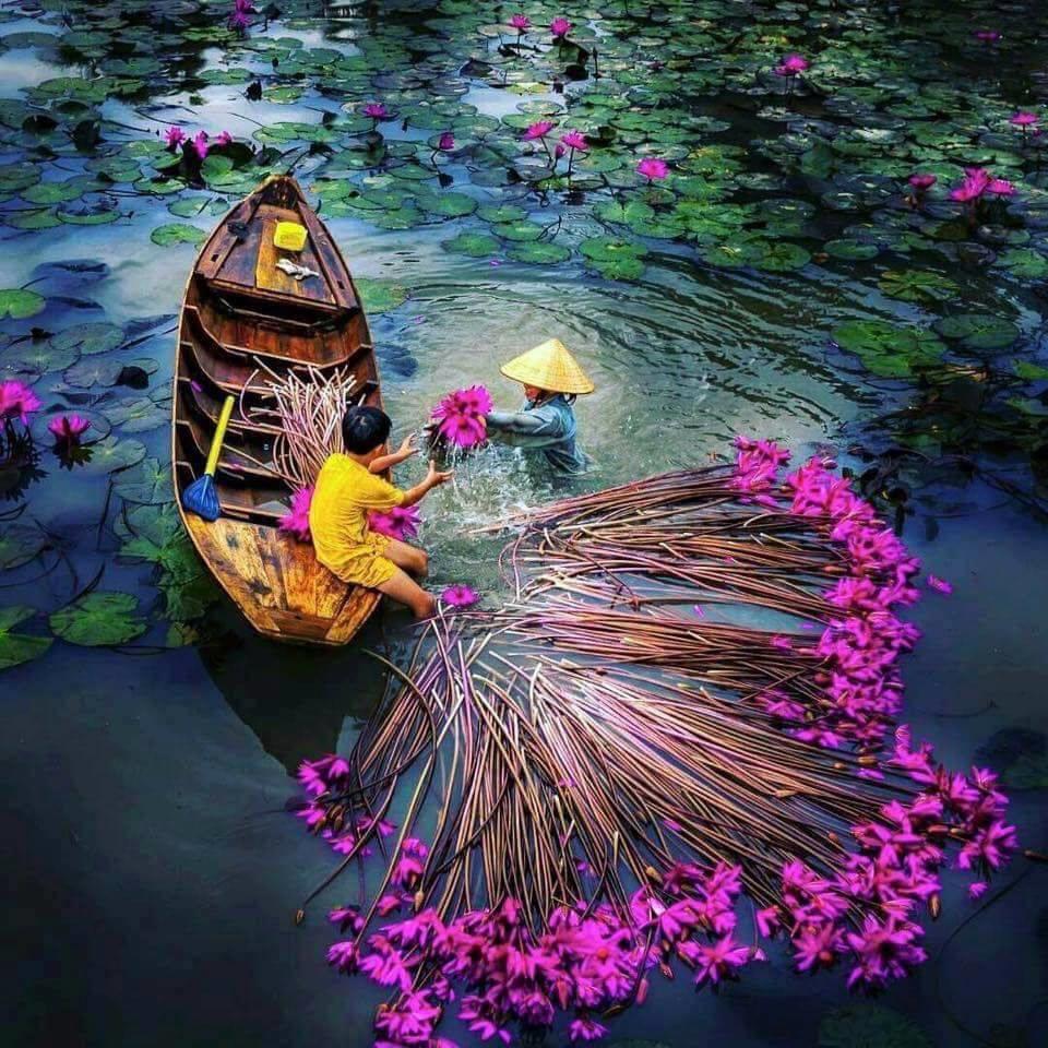 TOUR DU LỊCH HÀ NỘI/SÀI GÒN MIỀN TÂY 4 TỈNH CẦN THƠ – SÓC TRĂNG – BẠC LIÊU – CÀ MAU 2 NGÀY 1 ĐÊM KHỞI HÀNH HÀNG NGÀY 