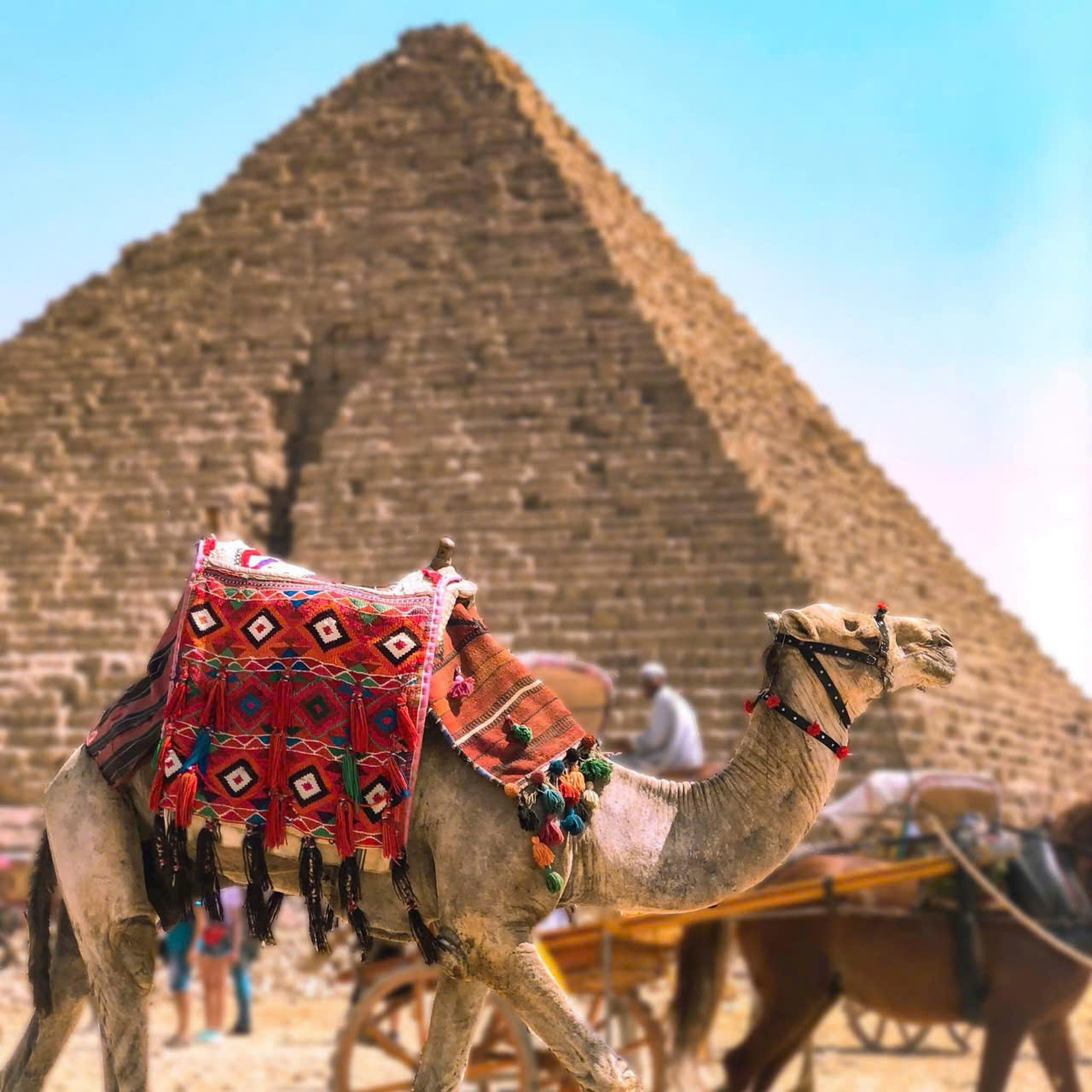 TOUR AI CẬP GIÁ RẺ TỪ 52,9 TRIỆU VÙNG ĐẤT CỦA NHỮNG ĐIỀU HUYỀN BÍ 10 NGÀY 9 ĐÊM CAIRO - LUXOR - HURGHADA - ALEXANDRIA  NHẬN KHÁCH LẺ TỪ TP HỒ CHÍ MINH HÀ NỘI 
