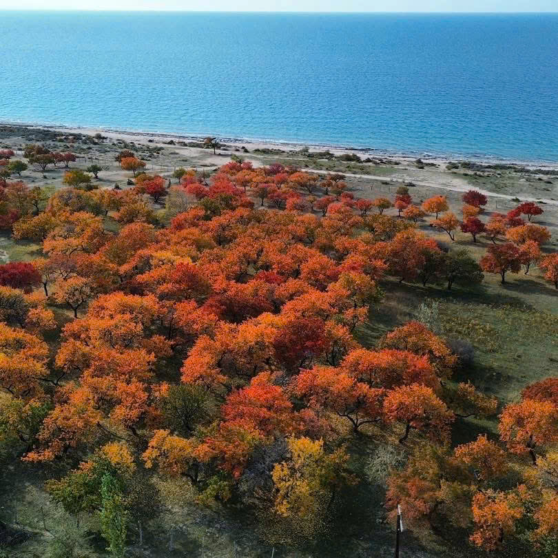 CHÙM TOUR TRUNG Á-TÂN CƯƠNG-MÔNG CỔ 2026 HÀNH TRÌNH ĐỘC BẢN SUMMIT TRAVEL CHINH PHỤC NHỮNG TỌA ĐỘ HOANG SƠ NHẤT LỤC ĐỊA Á ÂU TỪ THẢO NGUYÊN XANH ĐẾN SA MẠC CÁT HÁT KH TỪ HÀ NỘI TP.HCM