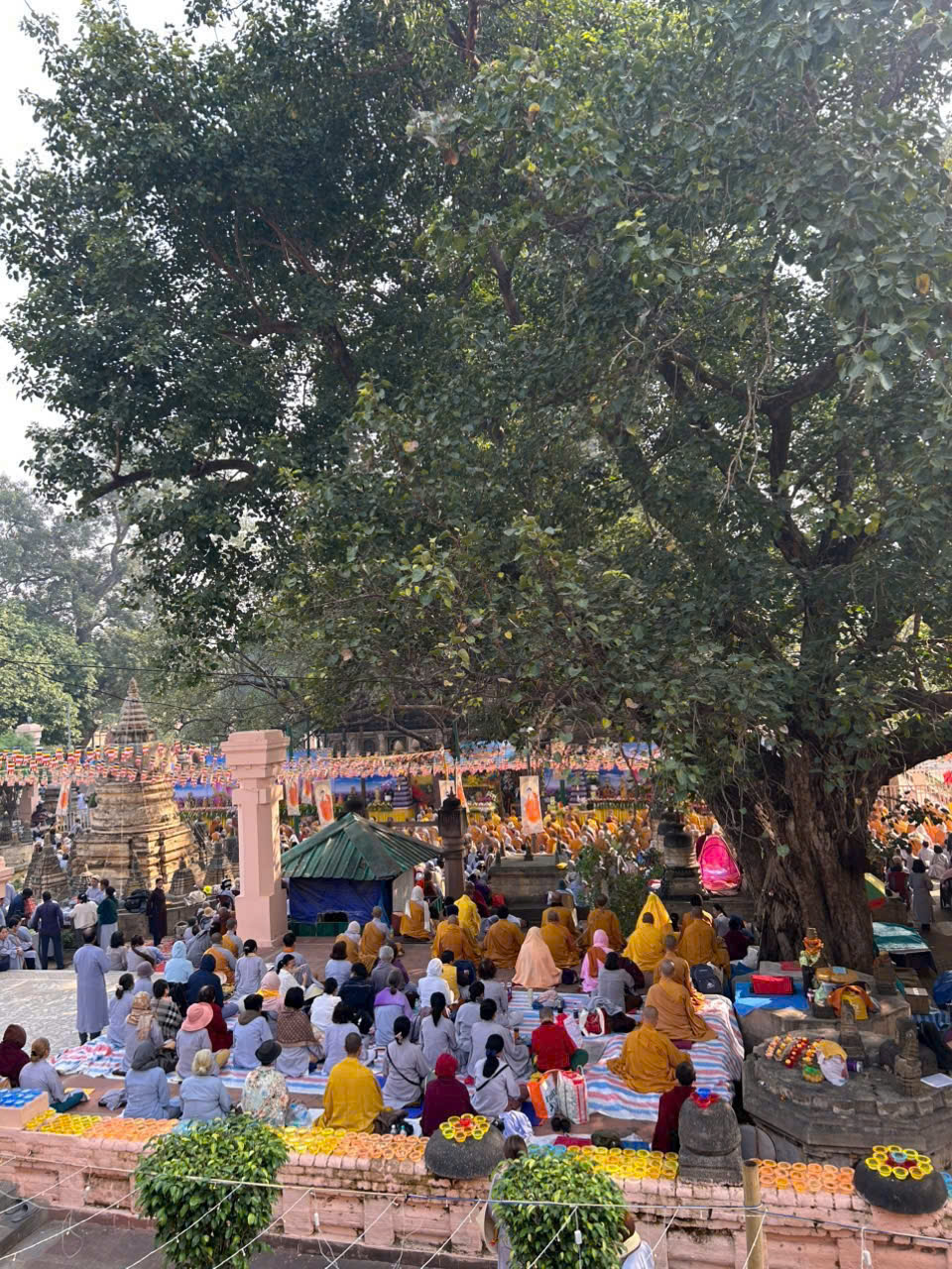 TOUR ẤN ĐỘ NEPAL ĐƯỢC TÌM KIẾM NHIỀU GẦN ĐẦY HÀNH HƯƠNG TỨ ĐỘNG TÂM  8 THÁNH TÍCH 42 NGÔI CHÙA CÓ THỂ GẶP SƯ MINH TUỆ NHẬN KHÁCH LẺ TỪ HÀ NỘI SÀI GÒN 7N6Đ 9N8Đ 12N11Đ 