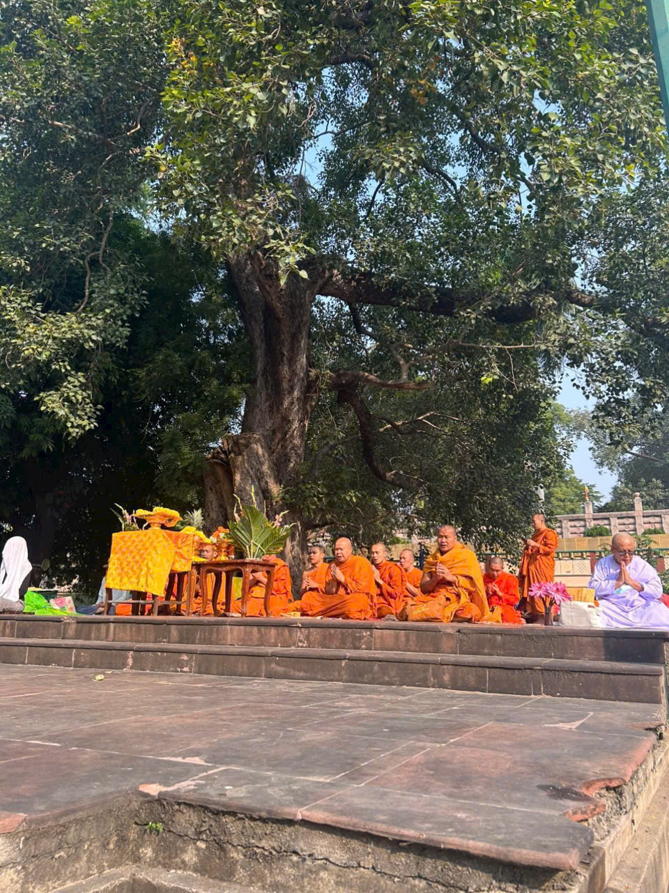 DU LỊCH HÀNH HƯƠNG, HÀNH THIỀN, TU TẬP VÀ CHIÊM BÁI PHẬT TÍCH ẤN ĐỘ – NEPAL TOUR ĐẶC BIỆT GIẢM GIÁ NĂM 2026 BẢN FULL 14 NGÀY 13 ĐÊM KHỞI HÀNH TỪ HÀ NỘI TP HỒ CHÍ MINH 