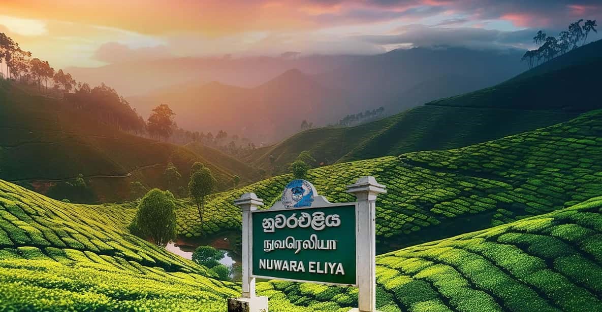 TOUR HÀNH HƯƠNG SRI LANKA 2026-2027 BAY THẲNG TỪ TP HCM HÀ NỘI 7 NGÀY 6 ĐÊM TRỌN GÓI GIẢM GIÁ CHO TĂNG NI PHẬT TỬ 