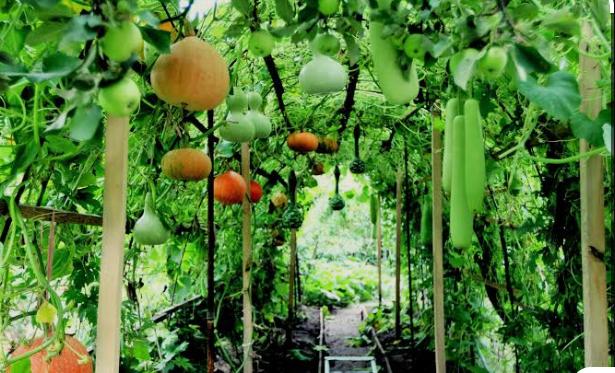 TIM HIỂU XUẤT KHẨU LAO ĐỘNG BA LAN 2026 CÓ KHÓ KHÔNG ĐIỀU KIỆN HỒ SƠ MỨC LƯƠNG THỜI GIAN VÀ KINH NGHIỆM THỰC TẾ